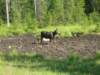 dscn2826_small.jpg