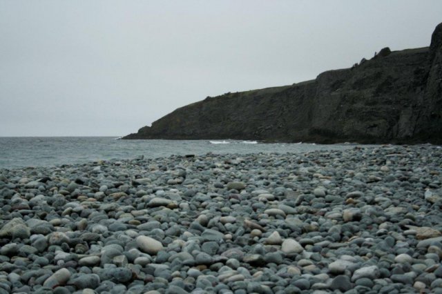 nfld2011_20110528_204.jpg