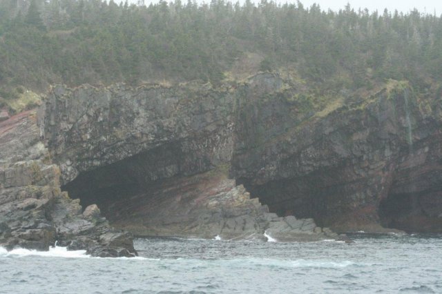 nfld2011_20110528_240.jpg