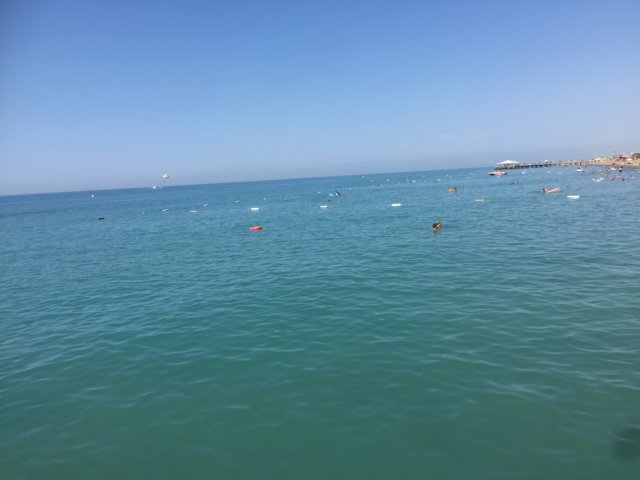 img_0830.jpg
