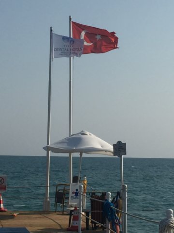 img_0949.jpg