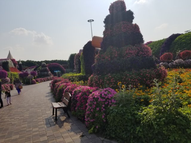 _130917.jpg