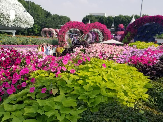 _131457.jpg