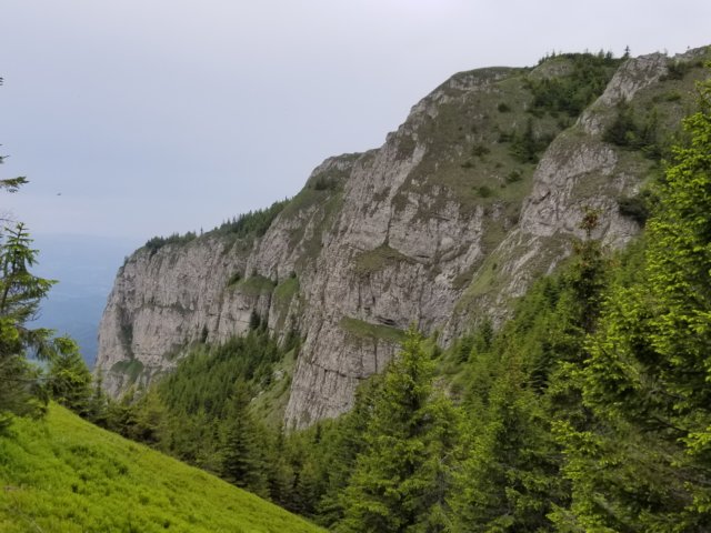 _174900.jpg