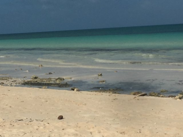 img_9245.jpg