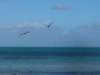 img_9263_small.jpg
