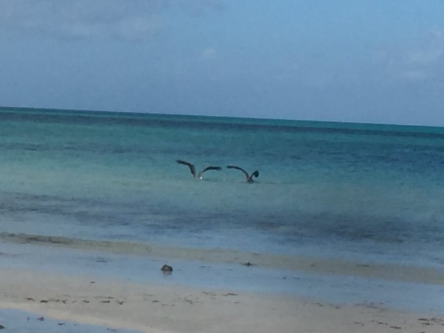 img_9266.jpg