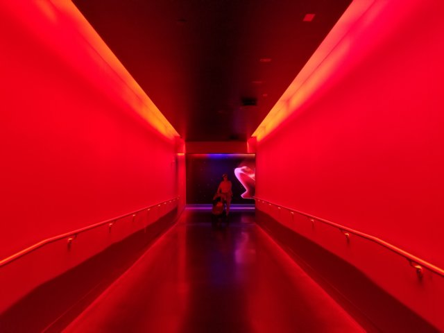 _173714.jpg
