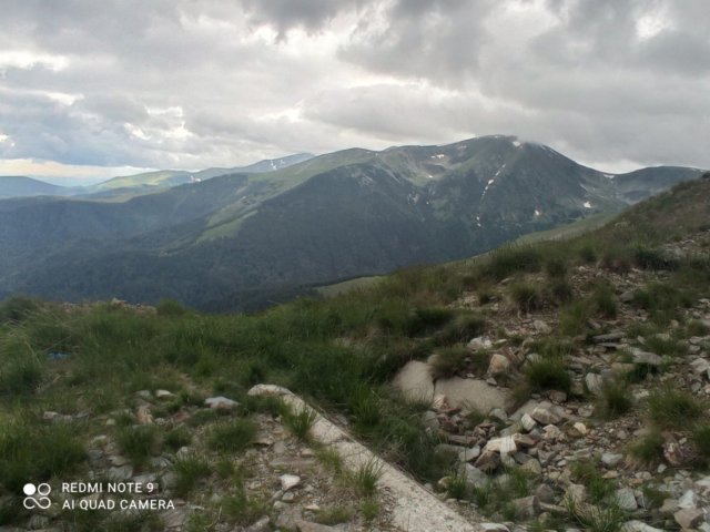 rtjv2704.jpg