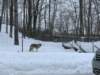 img_7538_small.jpg