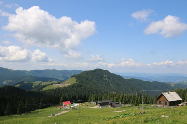 img_1543.jpg
