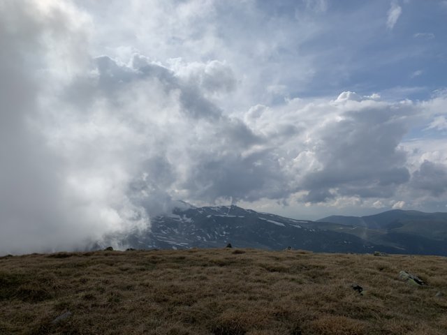 img_0525.jpg