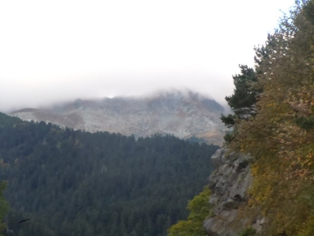 dscn7489.jpg