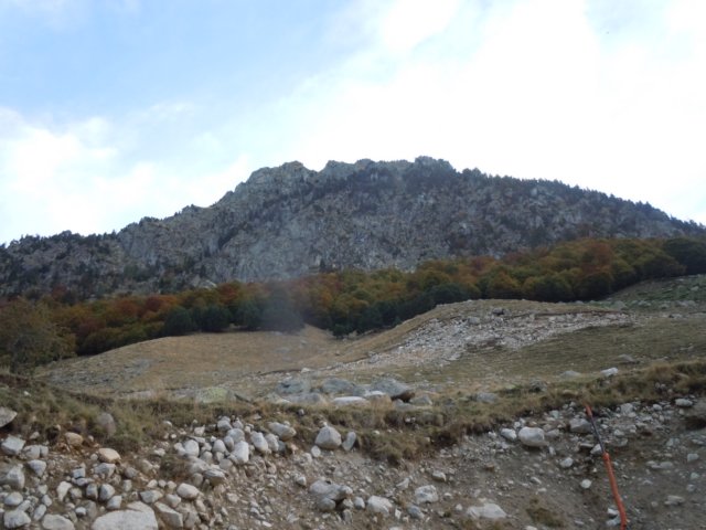 dscn7494.jpg
