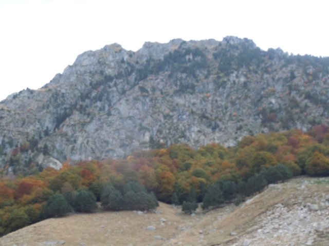 dscn7498.jpg