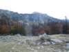 dscn7515_small.jpg