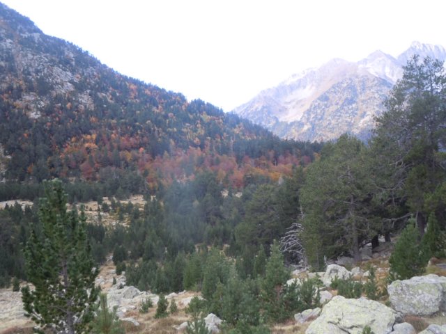 dscn7518.jpg