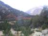 dscn7518_small.jpg