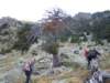 dscn7522_small.jpg