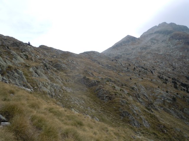 dscn7529.jpg