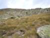 dscn7531_small.jpg