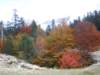 dscn7583_small.jpg