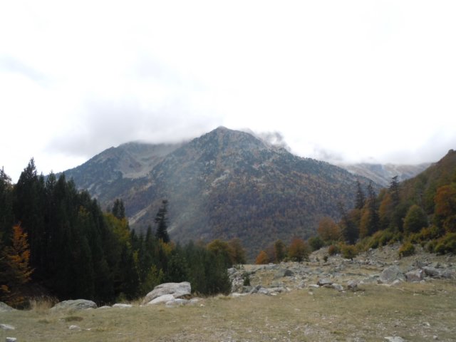dscn7586.jpg