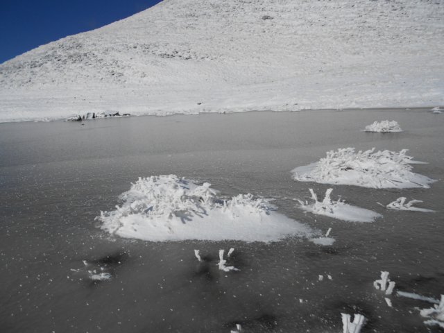 dscn8084.jpg