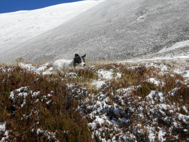 dscn8106.jpg