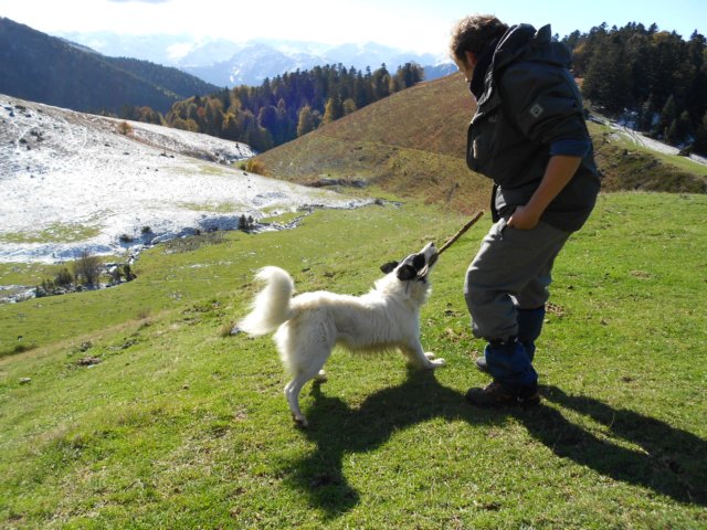 dscn8120.jpg