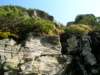 dscn5224_small.jpg