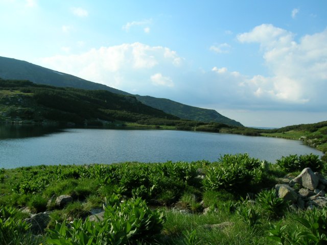 dscn5230.jpg