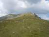 dscn6731_small.jpg