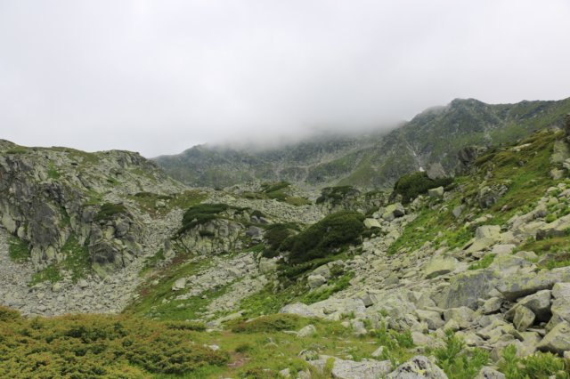 img_6564.jpg