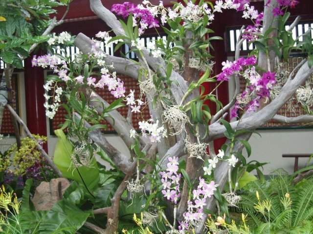 p7180076.jpg