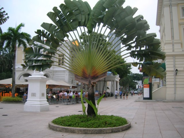 dscn8276.jpg