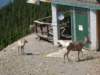 dscn2915_small.jpg