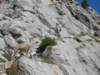 dscn2967_small.jpg
