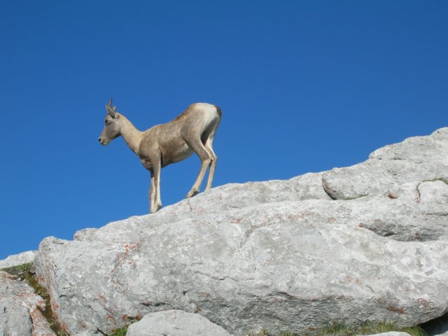 dscn2968.jpg