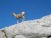 dscn2968_small.jpg