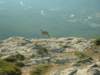 dscn2981_small.jpg