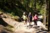 imgp5130_small.jpg