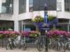 dscn7911_small.jpg