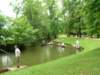 dscn7980_small.jpg