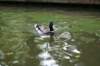 picture462_small.jpg