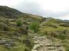 dscn6530_small.jpg