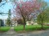 dscn6348_small.jpg