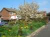 dscn6349_small.jpg