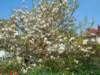 dscn6350_small.jpg