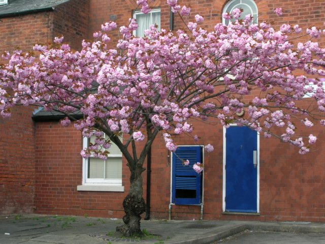 dscn6370.jpg